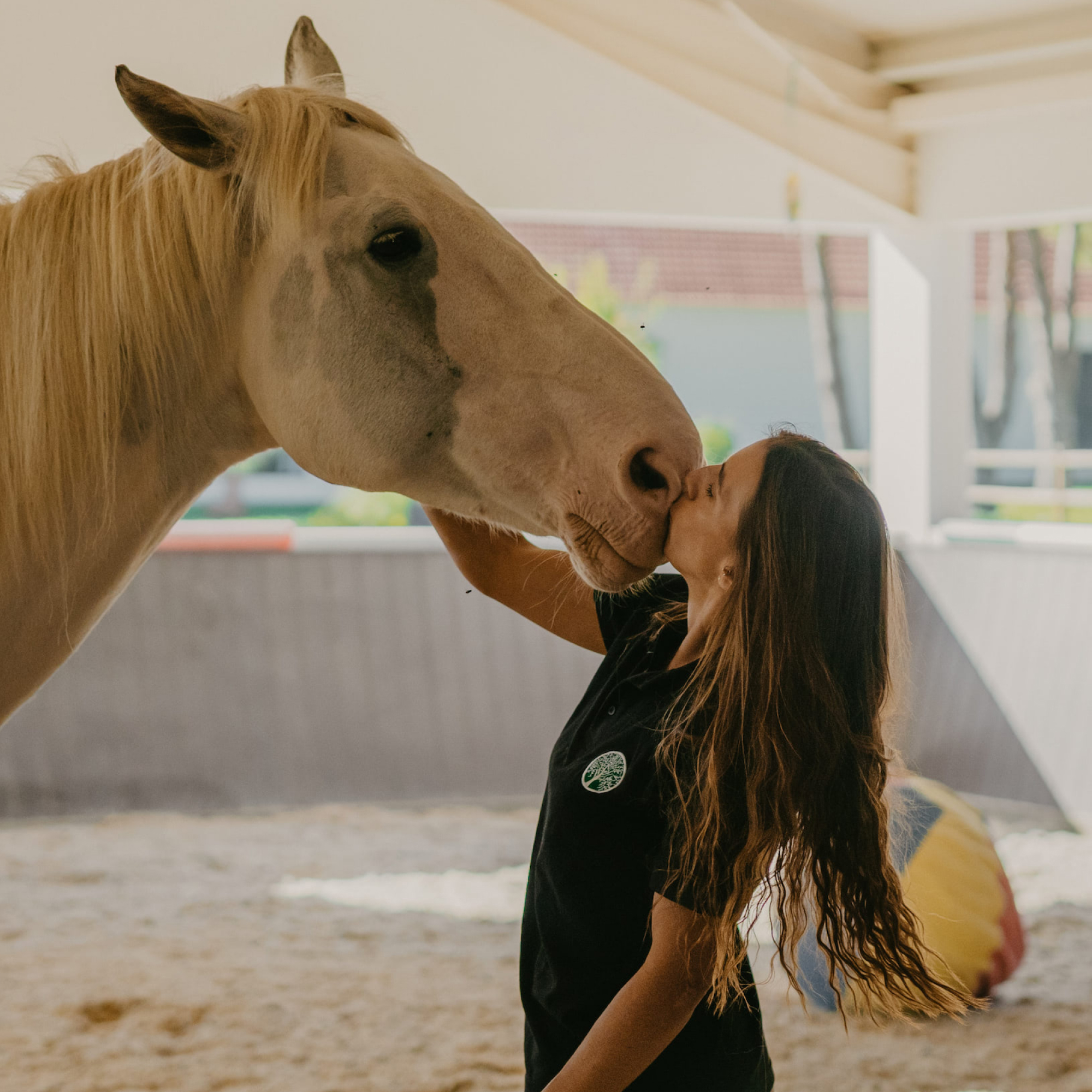 a woman kissing a horse