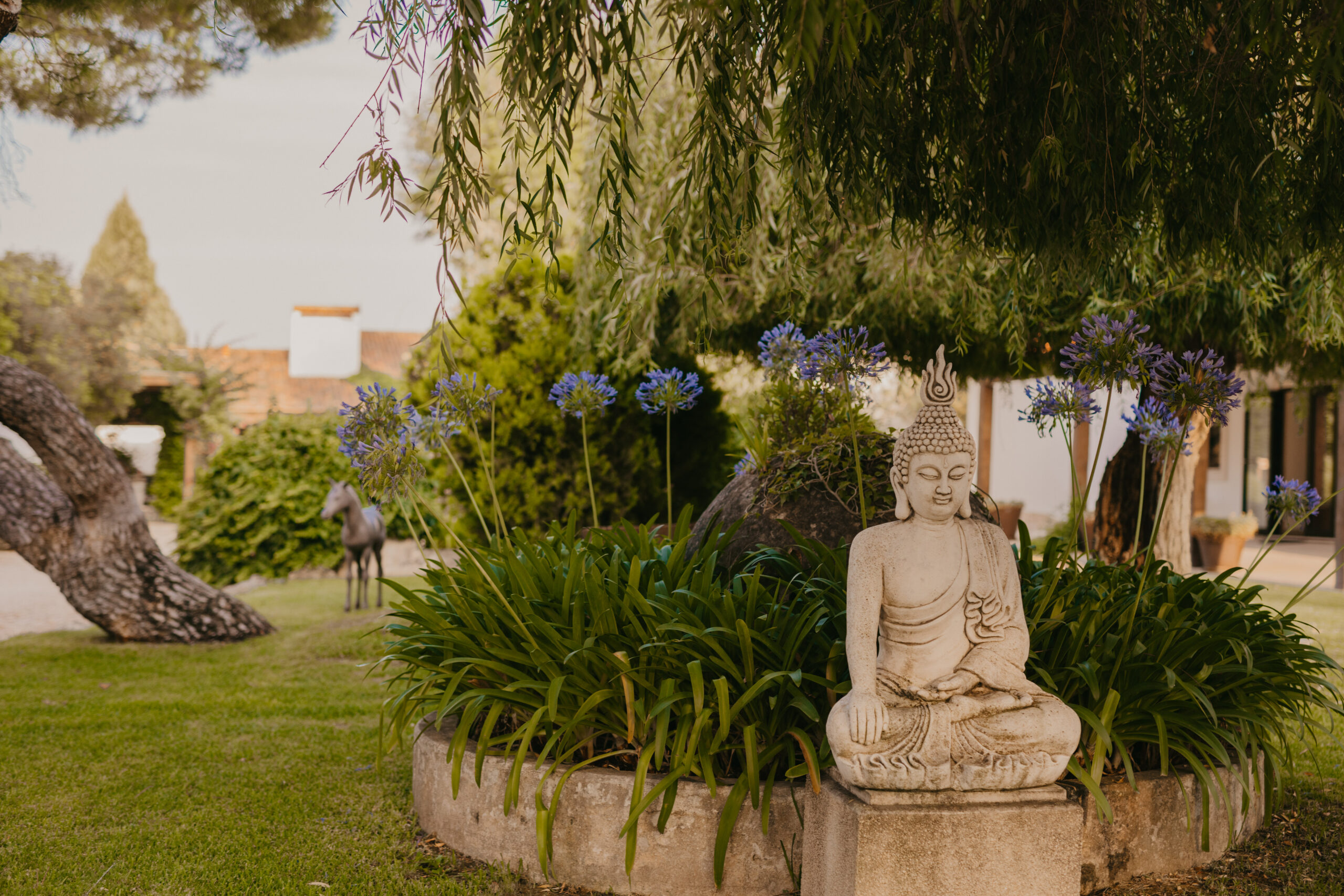 Buddha with nature background